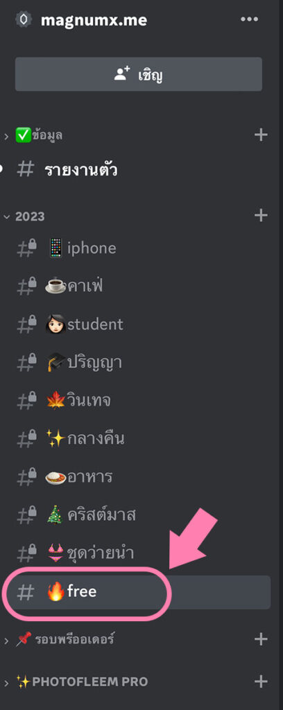 วิธีที่ 2 โหลดพรีเซ็ต Lightroom จาก Discord โดยตรง